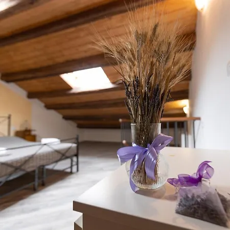 La Valle Della Lavanda - Podere Mezzastrada Fauglia