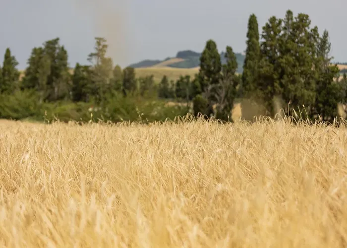 Alojamento de Turismo Rural La Valle Della Lavanda - Podere Mezzastrada